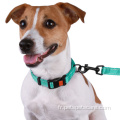 Collier de chien pour chiens chiot avec coutume